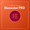Elementor PRO